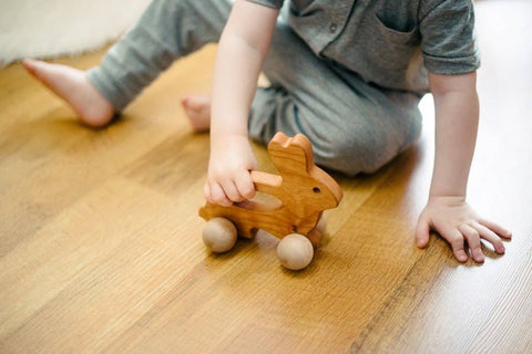 *Bunny Push Wooden Toy