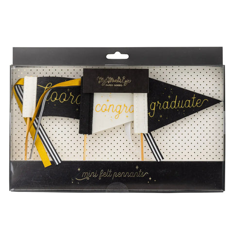 Minds Eye | Graduation Mini Felt Penants