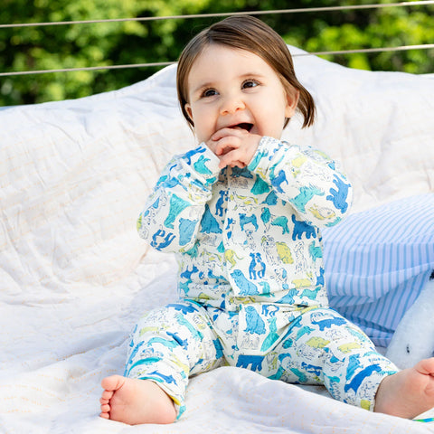 Magnetic Me | Blue it's A Paw-Ty Right Magnetic Coverall