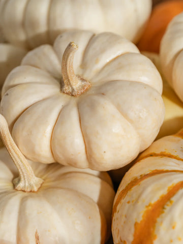 Pura | Archipelago Pumpkin Macchiato Home Fragrance Refill