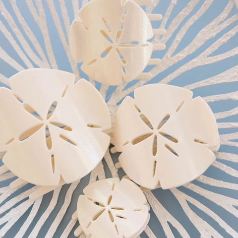 files/sand-dollar-small-flat-hair-clip-hair-clips-1531711.webp
