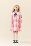 Pink Chicken | Hermione Dress | Pink Checks