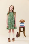 Pink Chicken | Stevie Dress | Football Field